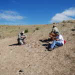 Team members prospect for fossils at one of the sites. (Photo by M. Jared Thomas)